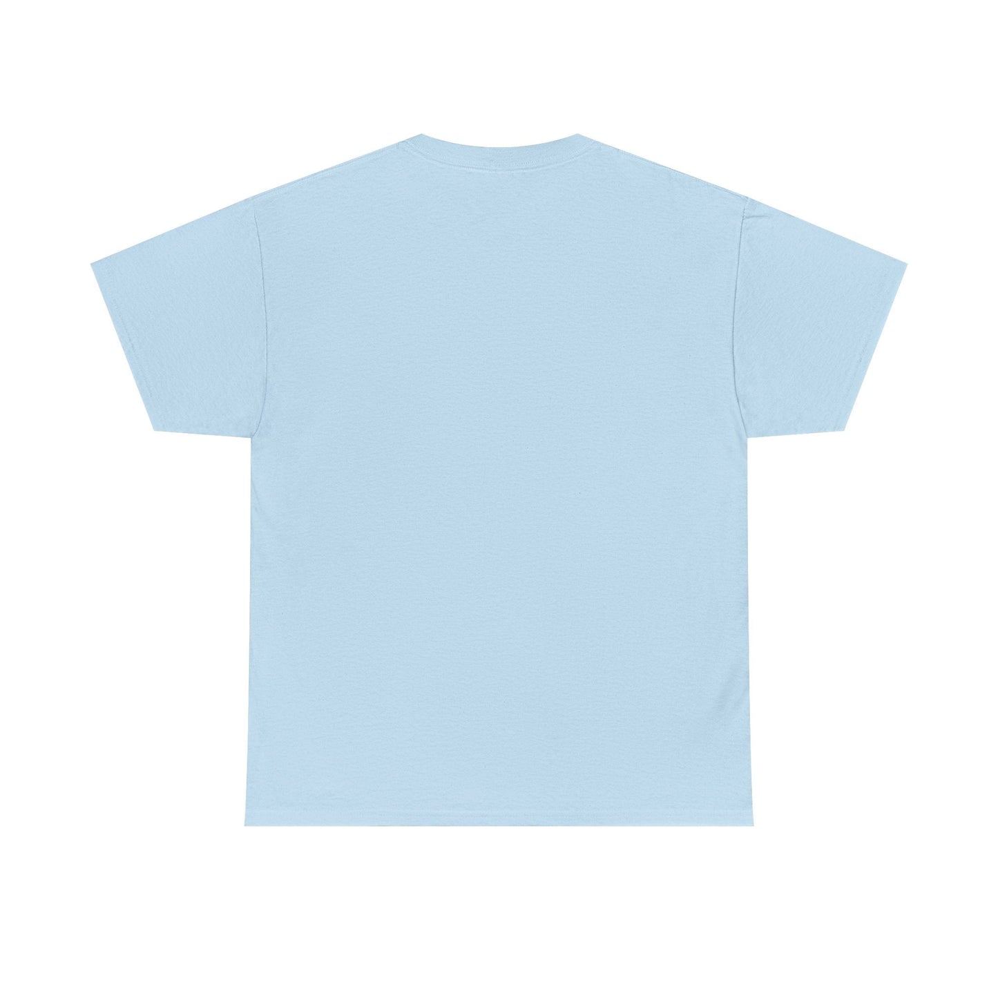 DeSantis 2028 Vintage Flag T-Shirt